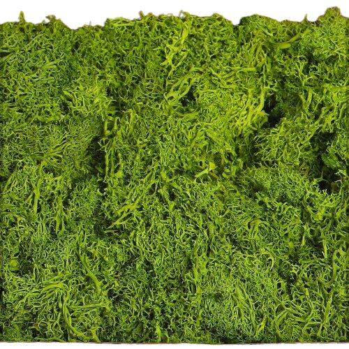 Moss Grass For Hanging Basket Background Wall Decor