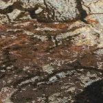 Terra Nova Bark Carpets Dubai It is laid on a wooden floor